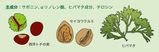 メディカルハーブ使用